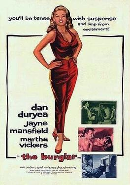 Movies You Should Watch If You Like the Burglars (1971)